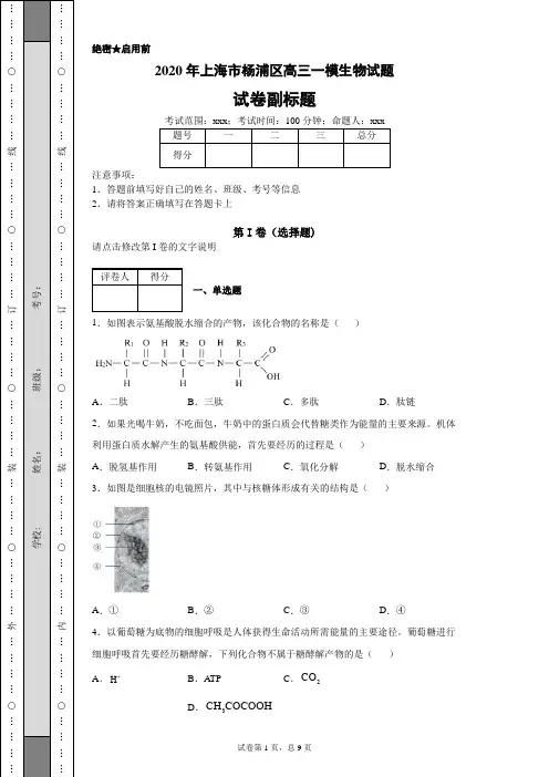 2020年上海市杨浦区高三一模生物试题