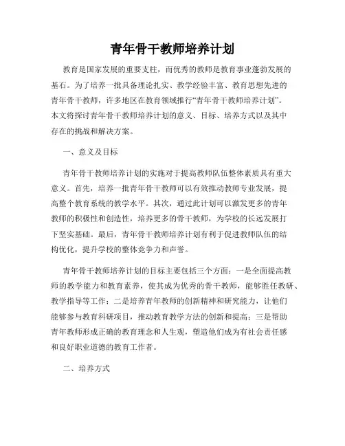 青年骨干教师培养计划