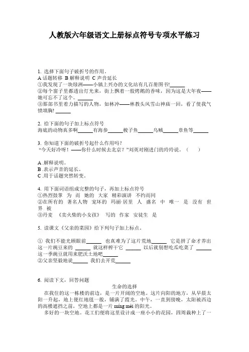 人教版六年级语文上册标点符号专项水平练习