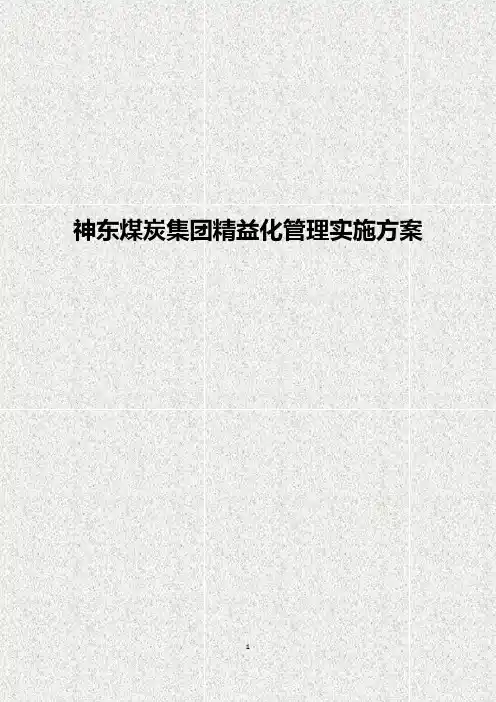 煤炭集团精益化管理实施方案