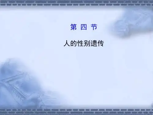 人的性别遗传(人教版)PPT课件3