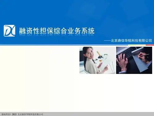 担保管理系统介绍.pptx