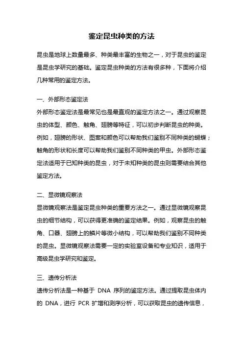 鉴定昆虫种类的方法
