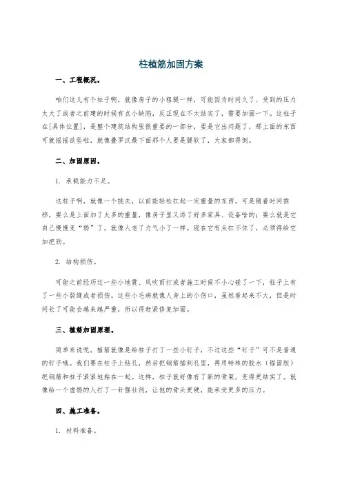 柱植筋加固方案