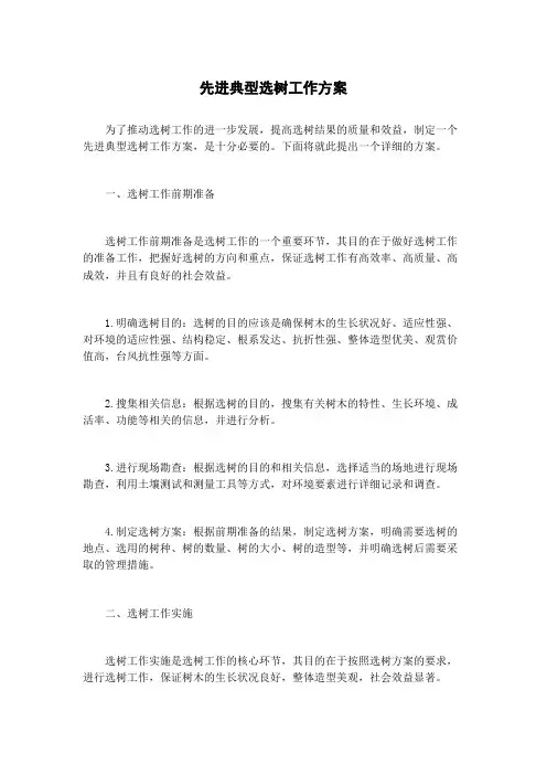 先进典型选树工作方案