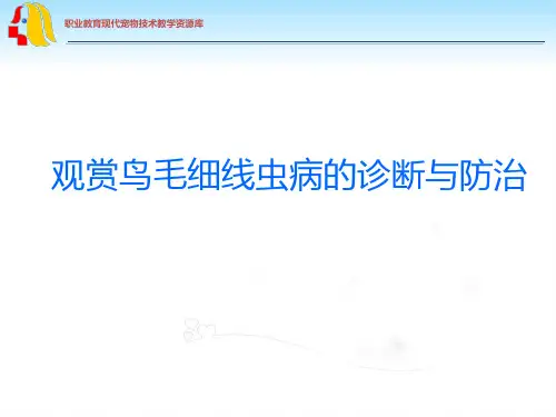 观赏鸟毛细线虫病的诊断与防治.