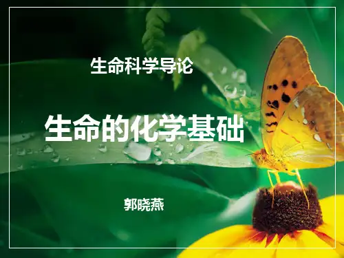 1生命的化学基础.ppt