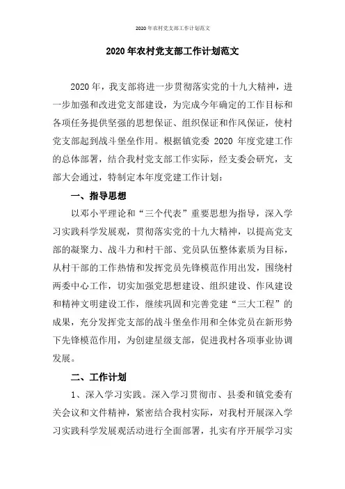 2020年农村党支部工作计划范文