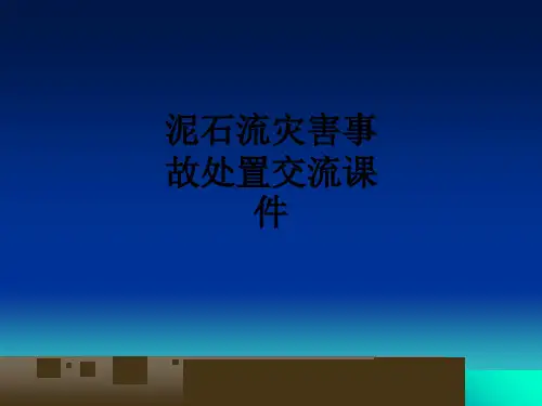 泥石流灾害事故处置交流课件
