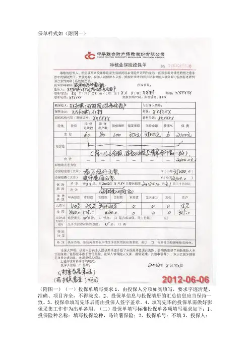 保单样式