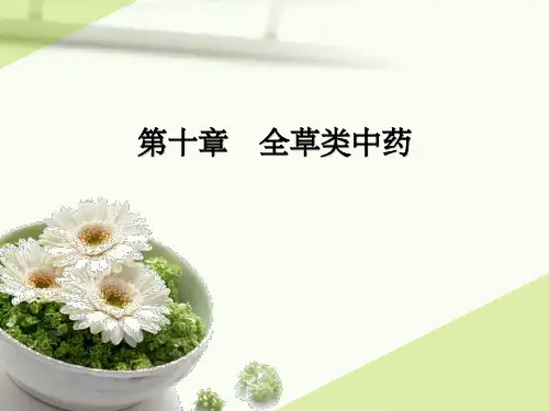 《全草类中药》PPT课件