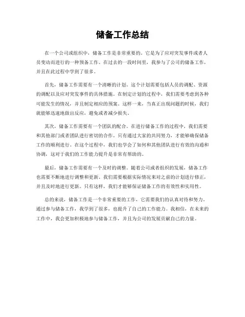 储备工作总结