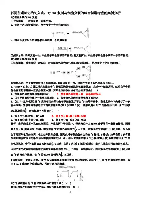 同位素标记与细胞分裂