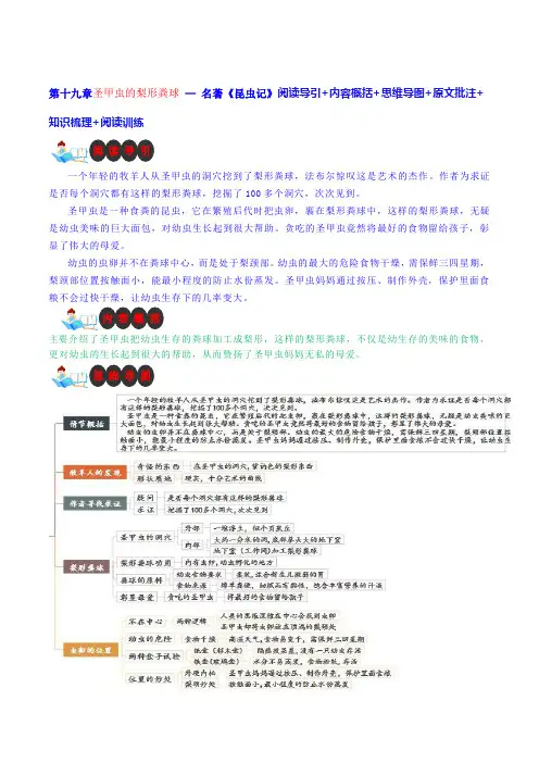 第十九章 圣甲虫的梨形粪球-名著《昆虫记》阅读导引+内容概括+思维导图+原文批注+知识梳理+阅读训练