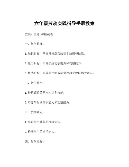 六年级劳动实践指导手册教案