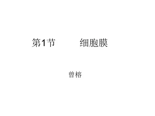 细胞膜的成分磷脂双分子层