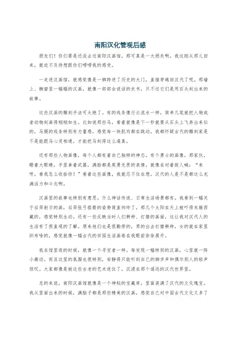 南阳汉化管观后感