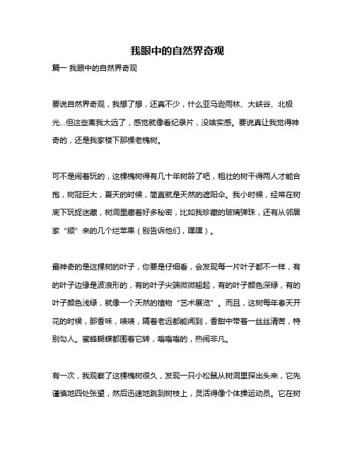 作文《我眼中的自然界奇观》