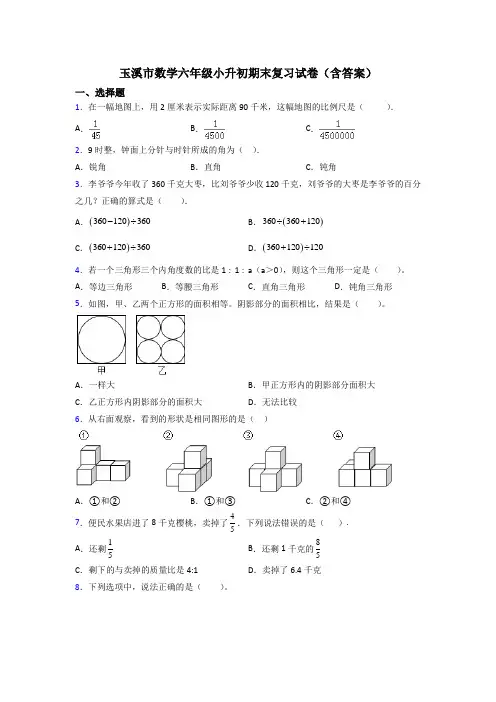 玉溪市数学六年级小升初期末复习试卷(含答案)