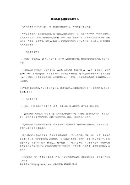 鸭的生物学特性和生活习性
