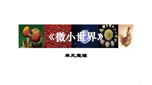 教科版六年级下册科学《微小世界》单元复习课件