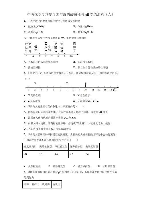 2023年中考化学专项复习之溶液的酸碱性与pH专练汇总(六)
