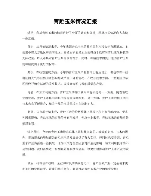 青贮玉米情况汇报
