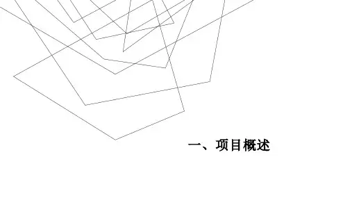 创新创业路演ppt