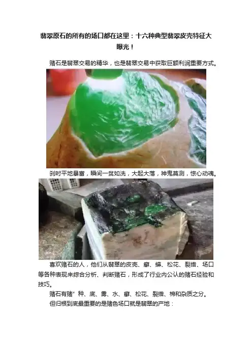 翡翠原石的所有的场口都在这里：十六种典型翡翠皮壳特征大曝光！