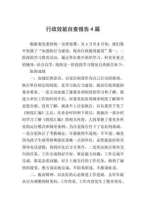 行政效能自查报告4篇