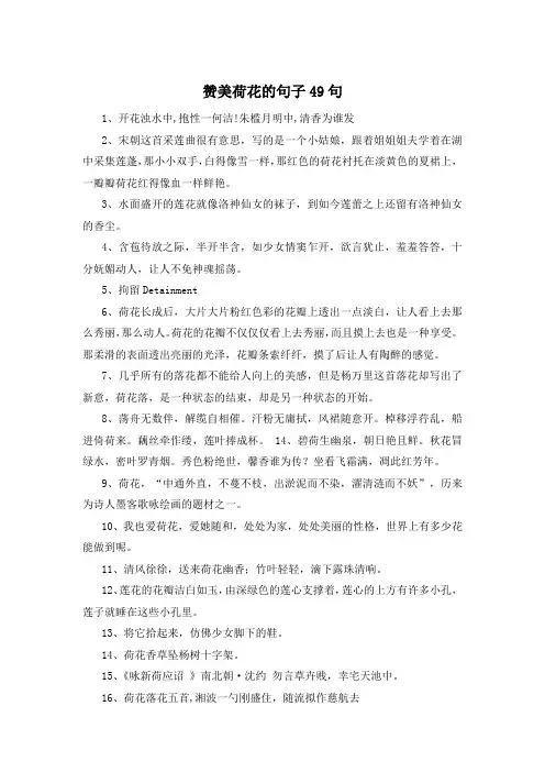 赞美荷花的句子49句 