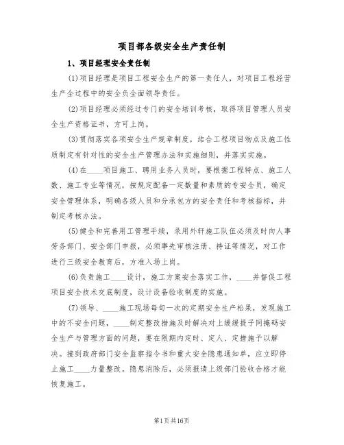 项目部各级安全生产责任制（6篇）