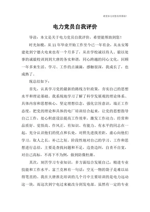 电力党员自我评价