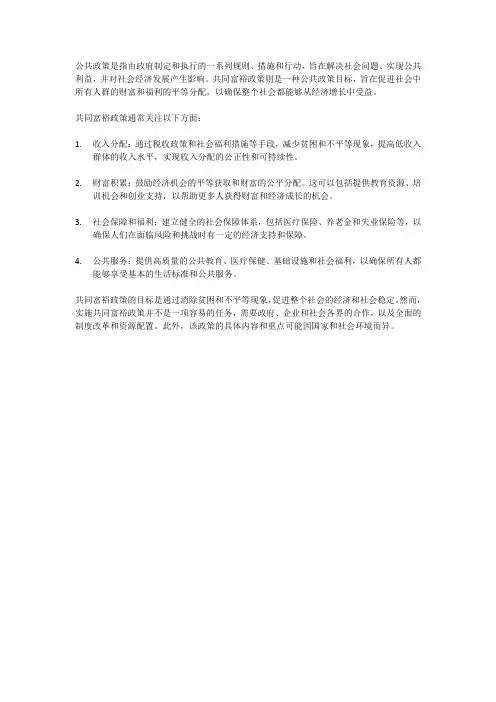 公共政策,共同富裕政策的理解