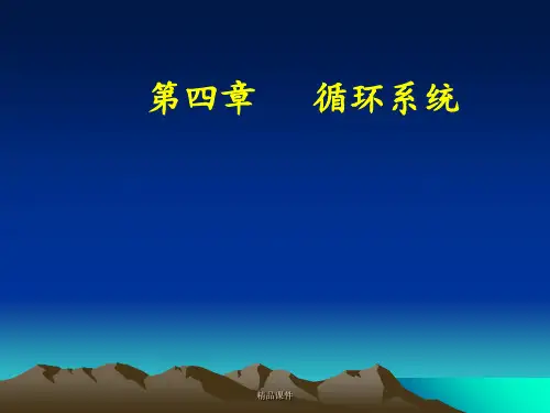 循环系统影像学表现(详细、全面)