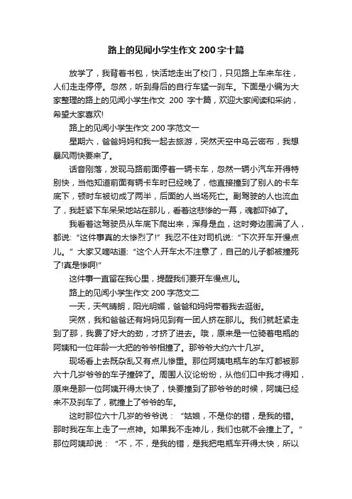 路上的见闻小学生作文200字十篇