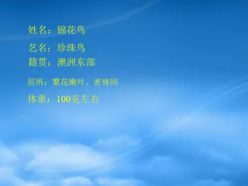 七级语文上册《珍珠鸟》课件 苏教(通用)