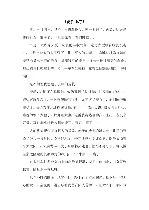 麦子 熟了