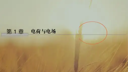 2018-2019版高中物理教科版选修1-1课件：第1章 第1节静电现象及其应用 精品