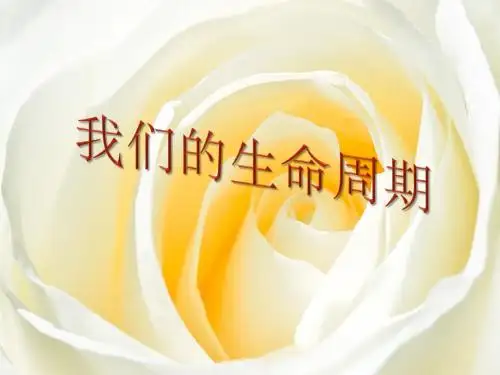 (教科版)三年级科学下册 我们的生命周期课件