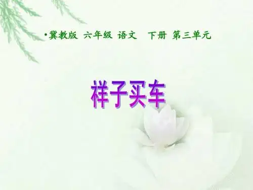 《祥子买车》