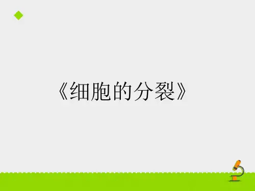 鲁科版生物六年级上册2.3.1《细胞的分裂》ppt课件