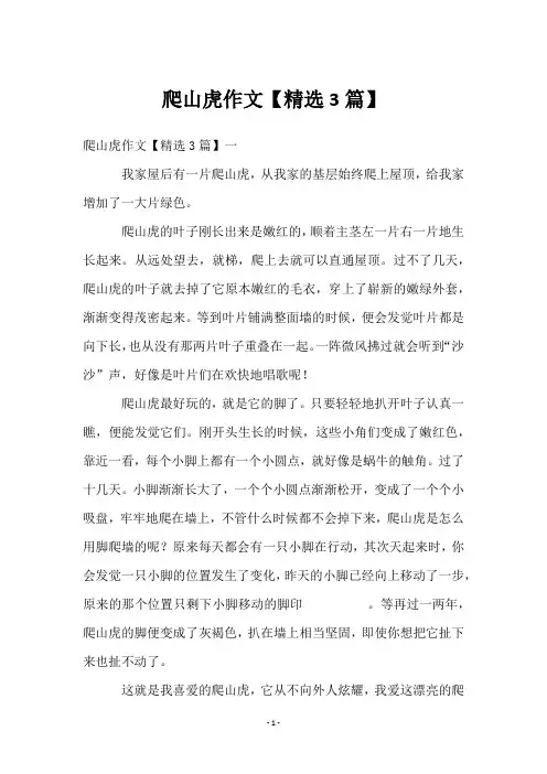 爬山虎作文【精选3篇】
