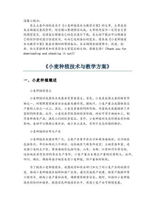 《小麦种植技术与教学方案》