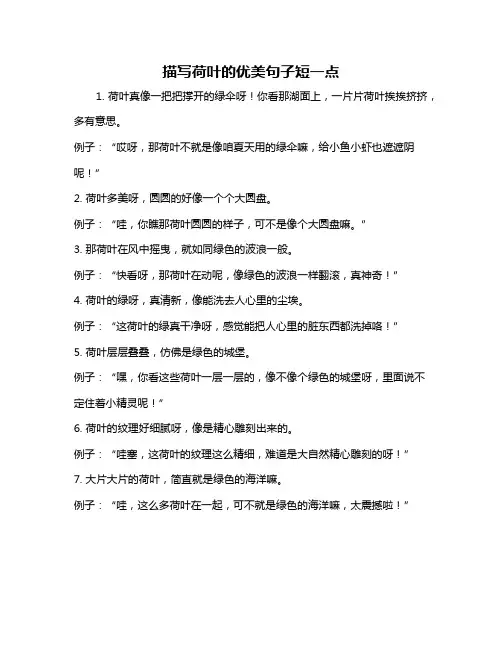 描写荷叶的优美句子短一点