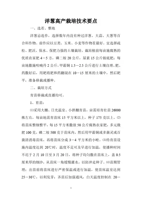 洋葱高产栽培技术要点