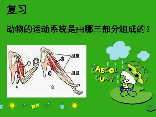 生物八年级上册第五单元第二章第二节 先天性行为和学习行为(共26张PPT)