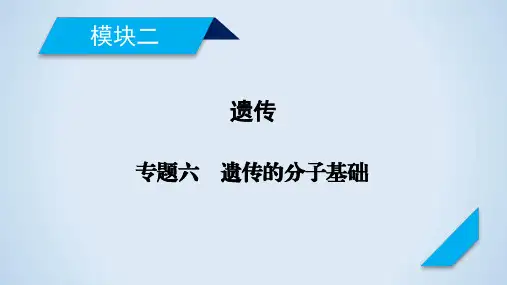 高中生物课件-专题6遗传的分子基础 课件(69张)