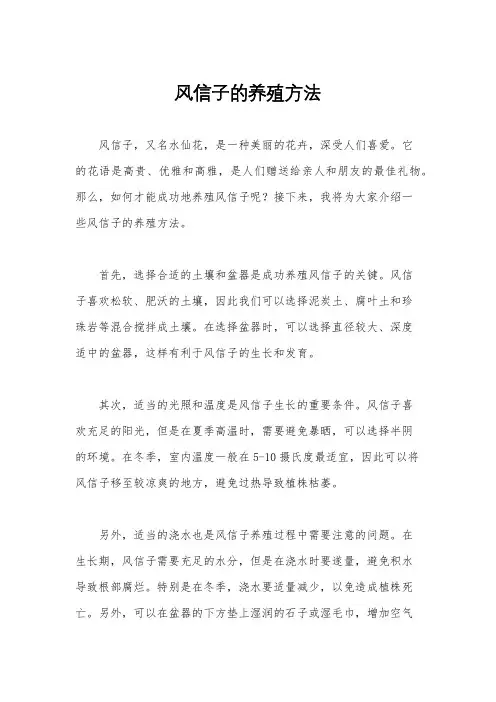 风信子的养殖方法