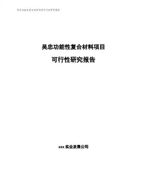 吴忠功能性复合材料项目可行性研究报告